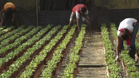 Le gouvernement créé un nouveau dispositif d’activité partielle. © Christian Watier